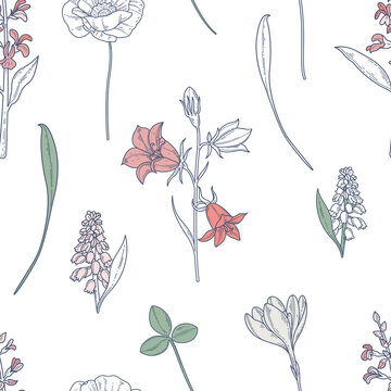 seamless pattern with wildflowers on white background