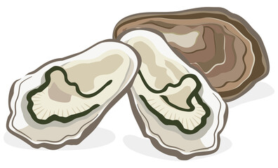 貝類／牡蠣