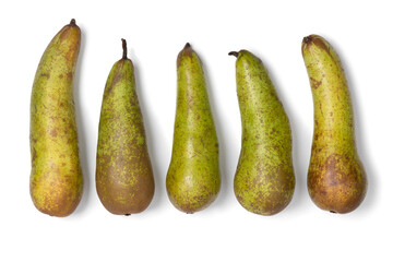 Row of fresh whole Abate Fetel pears isolated on white background