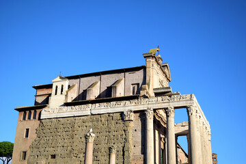 Obraz premium ancient temple of Antoninus and Faustina transformed into a church - church of San Lorenzo in Miranda - Roman Forum, Rome, Lazio, Italy, Europe