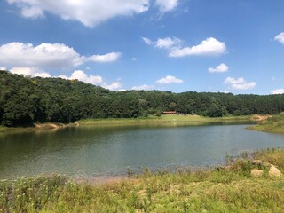 lake and forest