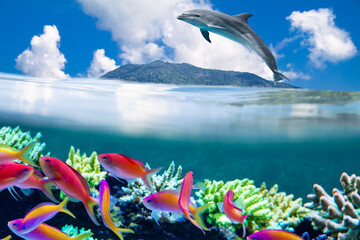 Background of Islands and underwater coral reef  with Tropical marine fish and jumping dolphin