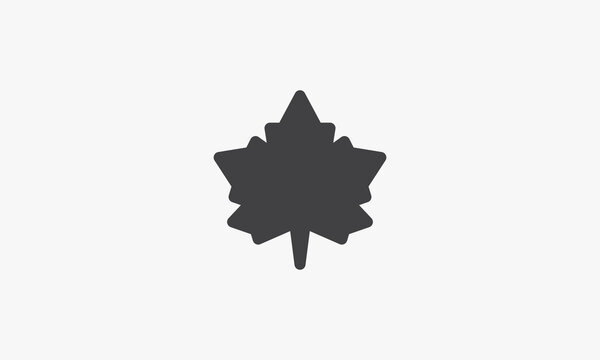maple leaf vector illustration on white background. creative icon.