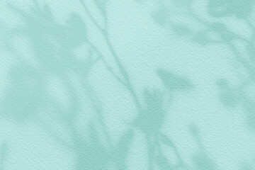 Abstract flower shadows on light mint green bright color wall texture background.