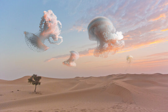 Fantasywelt
