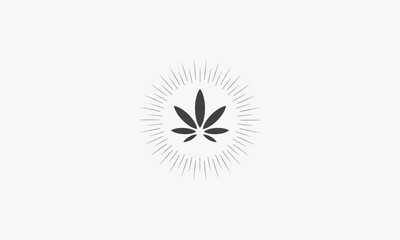 rays cannabis vector illustration on white background. creative icon.
