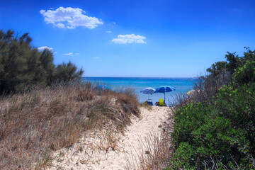 Footpath between sea dunes in Apulia,Italy. Lido Marini beach stretches for more than two kilometres, in the area of the municipalities of Salve and Ugento in Salento.