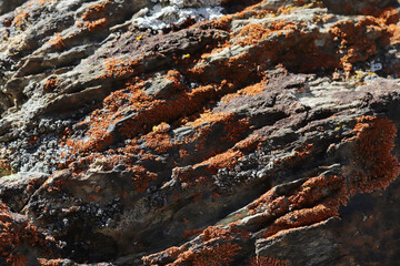 Granite rock texture background abstract