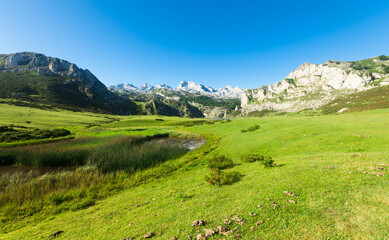 landscape views of national park peaks of europe