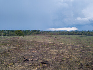 Drone aerial view of Amazon rainforest illegal deforestation landscape to make land for agriculture...