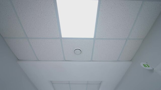 Ceiling lights custom designed. White ceiling with neon lights in the office