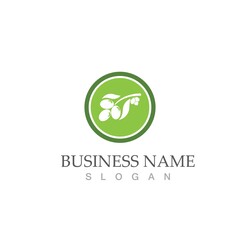 olive icon vector illustration