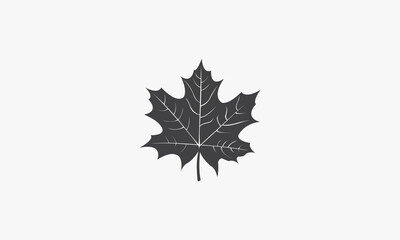 autumn maple leaf icon isolated on white background.