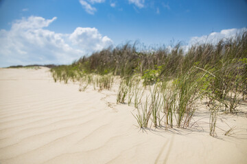 Sand dunes and white sand with blue sky and white clouds in background