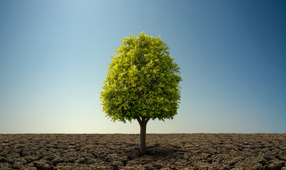Alone green tree in severe drought desert - obrazy, fototapety, plakaty
