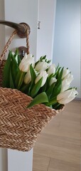 Piękne białe tulipany w domowym koszyku