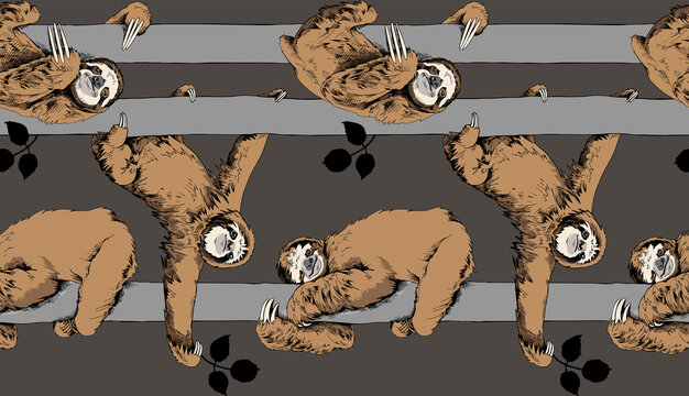 Seamless pattern. Funny brown Sloth on a trunk tree on a dark gray background. Textile composition, hand drawn style print. Vector illustration.