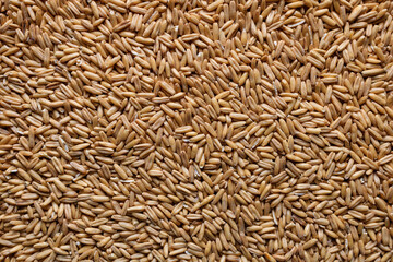 Oat groats. Raw whole oat seeds. Texture background. Healthy eating. Top view.