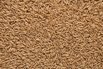 Oat groats. Raw whole oat seeds. Texture background. Healthy eating. Top view.