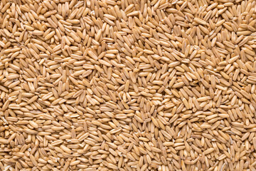 Oat groats. Raw whole oat seeds. Texture background. Healthy eating. Top view.