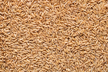Oat groats. Raw whole oat seeds. Texture background. Healthy eating. Top view.