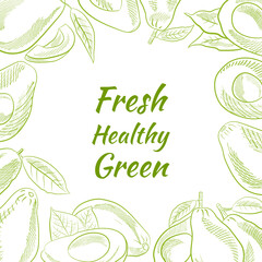 Vector hand drawn avocado and slices set.Sketch of a whole avocado, sliced ​​and leaves. Botanical illustration of avocado. Juicy tropical fruits.Great for labels, posters, prints.