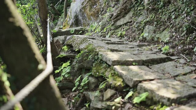 Steep stone hiking trails in the forest.