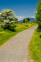 Fragment of West Dyke trail in Terra Nova Rural park, Vancouver, Canada.