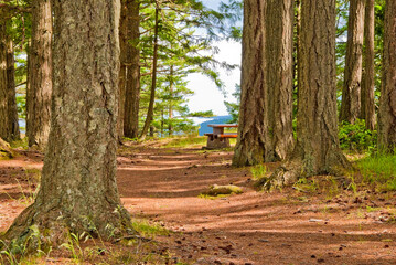 View point at mount Maxwell at Salt Spring Island, British Columbia, Canada.