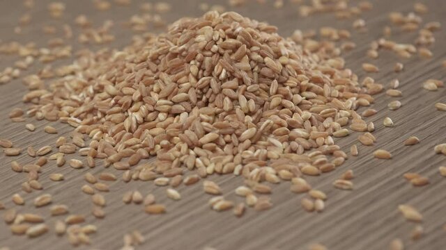 Wheat spelt grain rotating on wooden background.
Organic agriculture vegan vegetarian ingredient