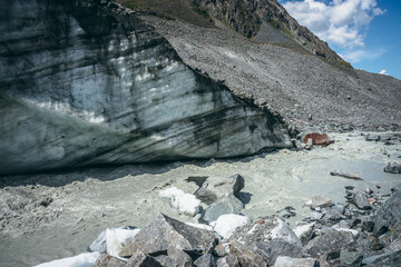 Scenic landscape with powerful mountain river beginning from glacier with ice chunks. Beautiful scenery with glacier at source of turbulent glacial river. Mountain river among moraines and ice blocks.
