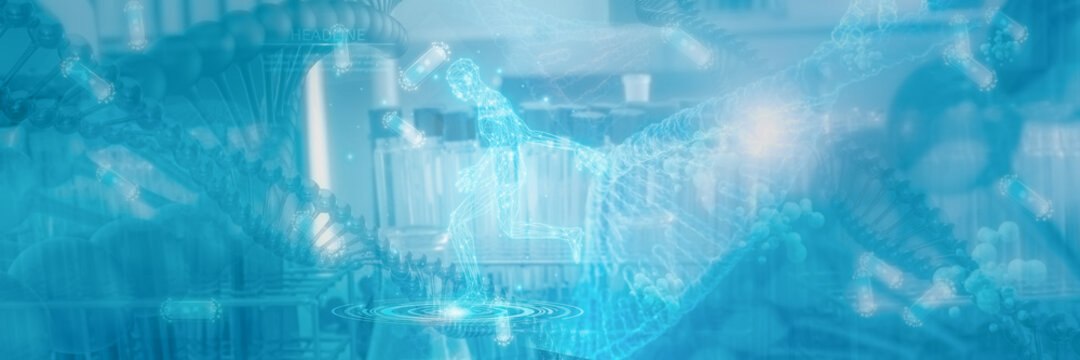 Futuristic Wireframe human body active and DNA,3D render illustration model polygonal dot and line,concept medical and technology,virtual scan anatomy body,Artificial intelligence or AI,deep learning