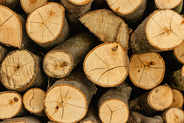 Wood texture detail selective focus. Stack of firewood. Pile of wood logs stored for winter. Wall...
