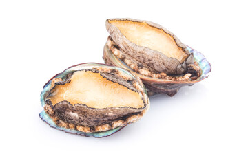 Raw abalones on the white background