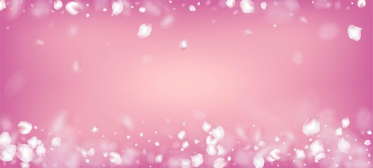 Cherry Sakura Petals Confetti. Flying Japanese Rose Sakura Cherry