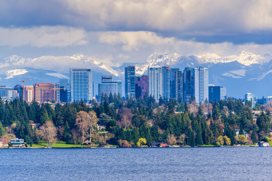 Bellevue Buildings And Cascades