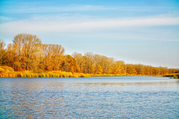 Blue sky over autumn orange forest and lake with blue water