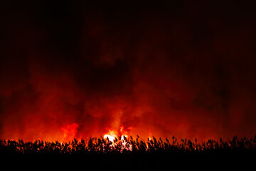 Fototapeta na wymiar Flames from dry grass fire at night. Night fire in the field