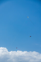 Naklejka na ściany i meble Three kites in the blue sky with white clouds