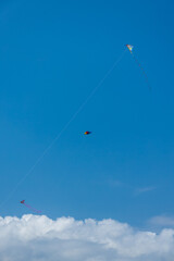 Three kites in the blue sky with white clouds