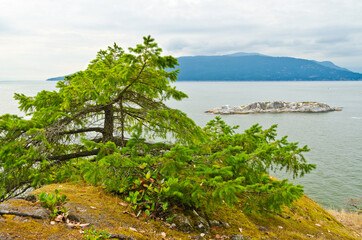 Fragment of a trail in Kloochman park, West Vancouver, Canada.