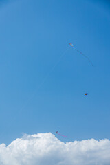 Three kites in the blue sky with white clouds