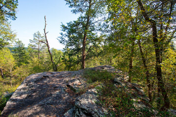 large flat top boulder in a forest clearing on a mountain top, shadows from trees crisscrossing the boulder. blue sky and ridgeline in the distance  seen over the treetops,  Shawnee National Forest Il