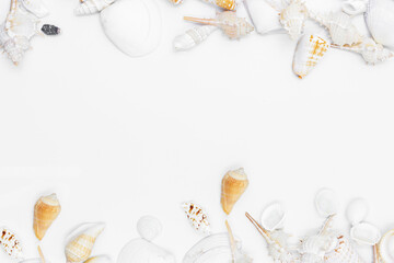 Top view Frame shells are beautiful isolated on white background 