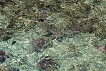 Obraz na płótnie Canvas A texture of tropical sea water over coral reef