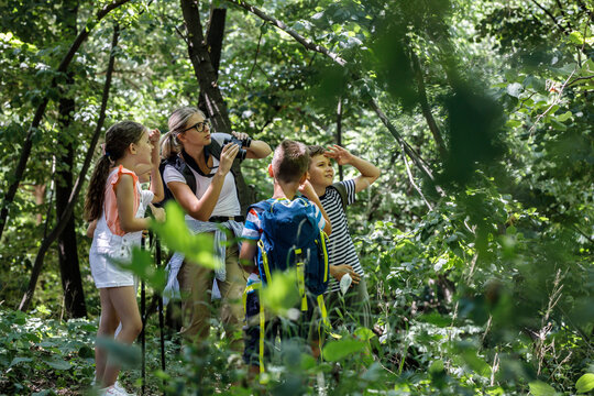 Group of children hiking in forest with they teacher.They learning about nature and wildlife.Teacher using binoculars.	
