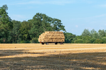 Wagon with straw bales ready for transport