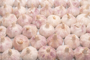 Group of garlic isolated on a white background.