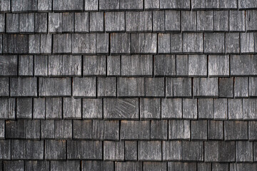 old wooden wall, stone wall background, old wood texture, close up of a bark