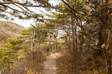 Hiking and walking path up on a hill. Adventure, journey and travel concept.